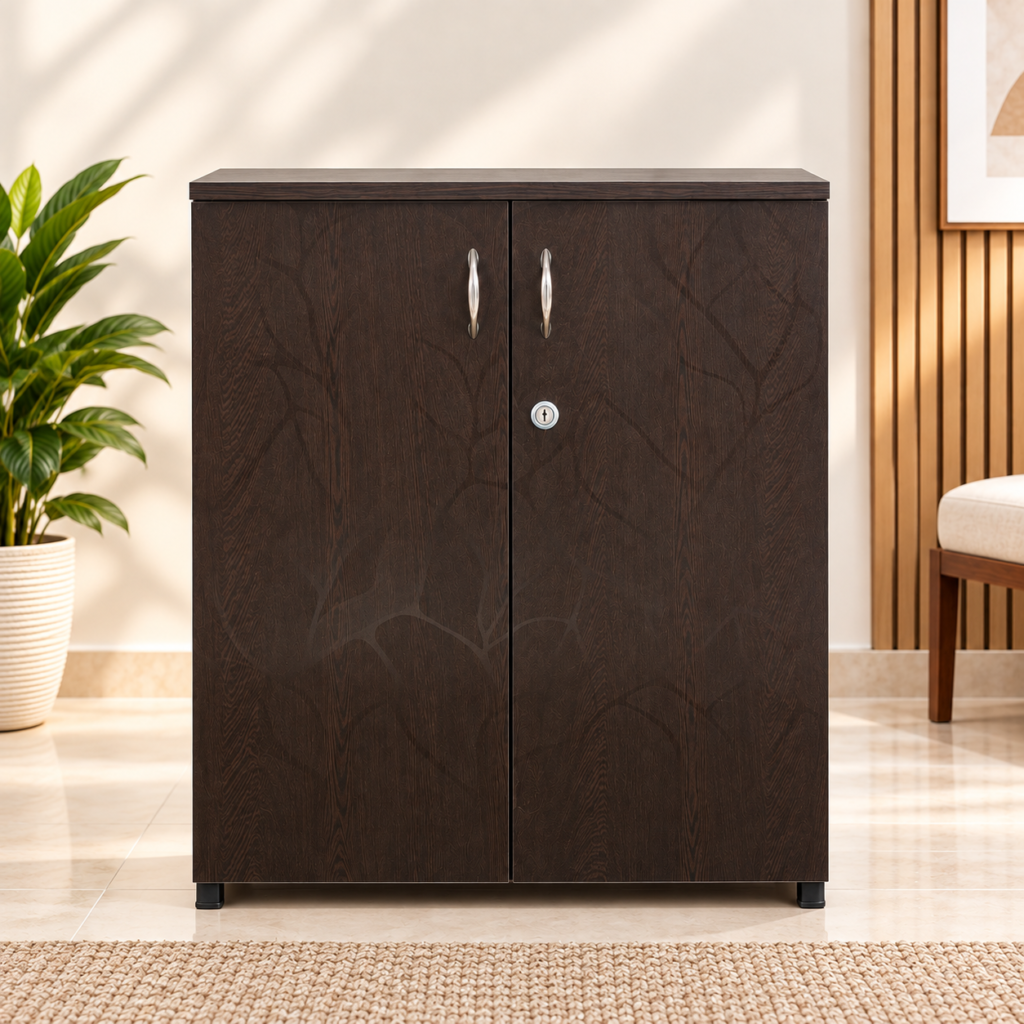 Shoerack-Brown Colour