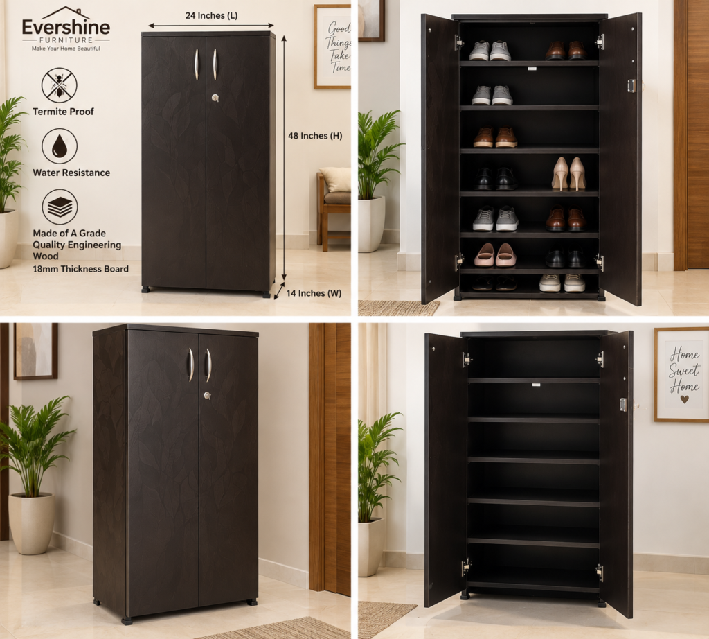 2 Door Shoe Cabinet for Home