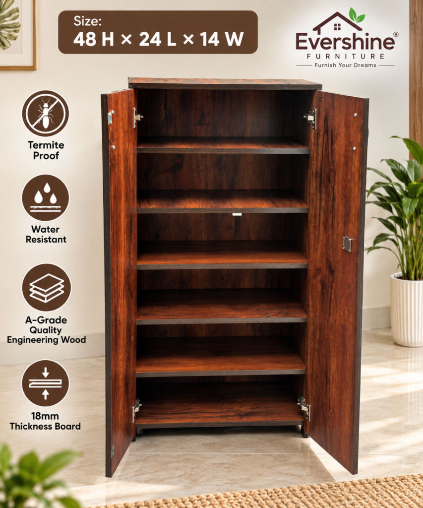 2 Door Shoe Cabinet for Home