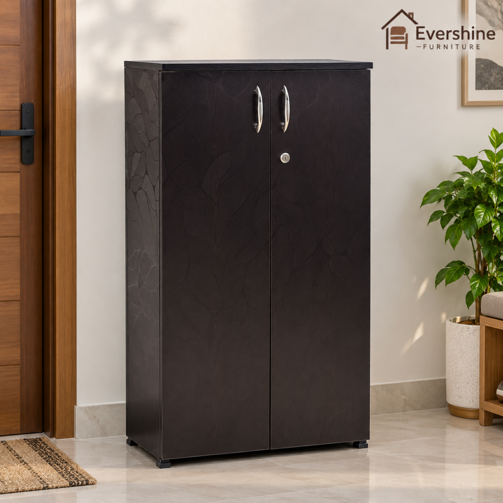 2 Door Shoe Cabinet for Home