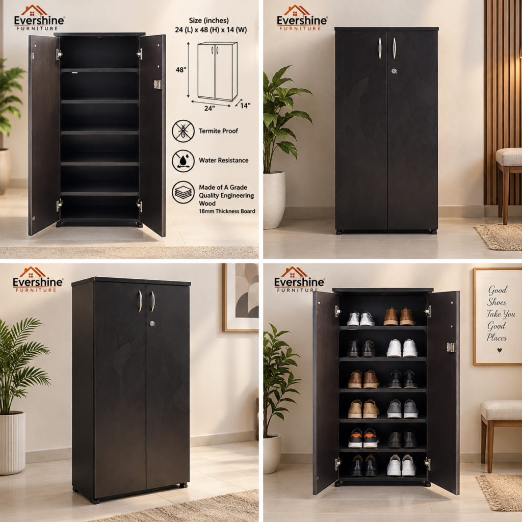2 Door Shoe Cabinet for Home